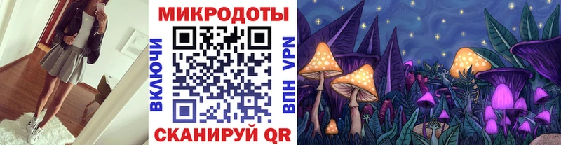 mega tor Магнитогорск Галлюциногенные грибы Psilocybe